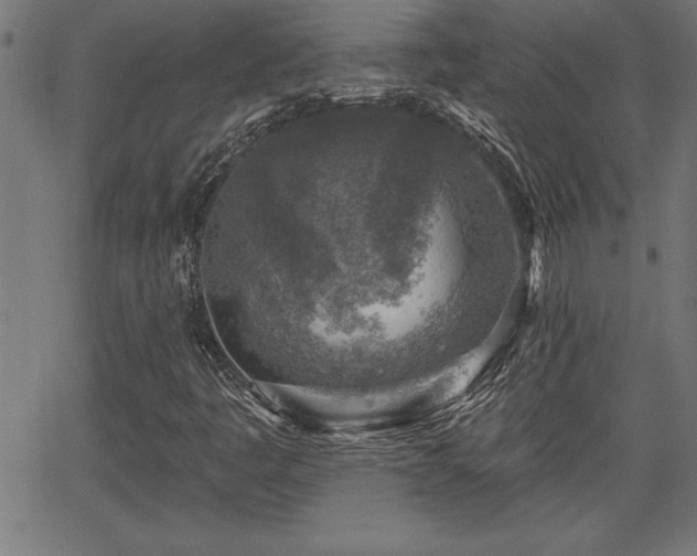 X0000065971445200603061137