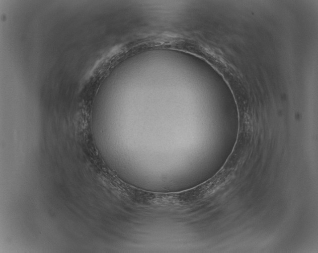 X0000065971447200603061137