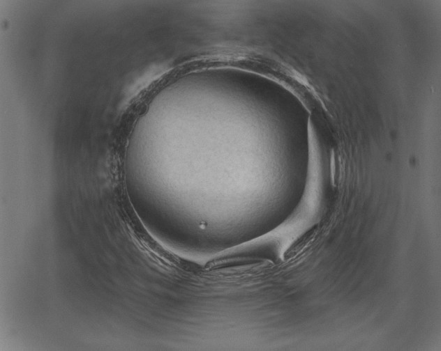 X0000065971448200603061137