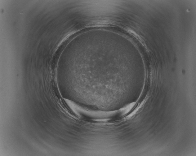 X0000065971449200603061137