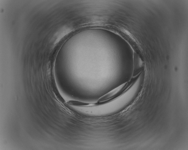 X0000065971450200603061137