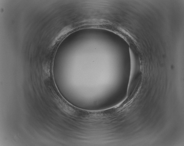 X0000065971451200603061137