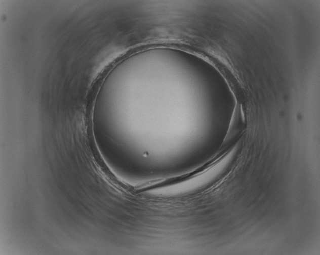 X0000065971452200603061137