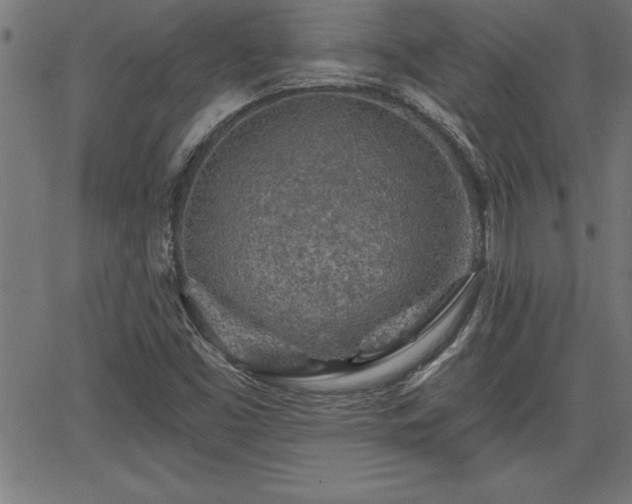 X0000065971453200603061137