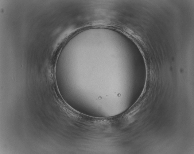 X0000065971454200603061137