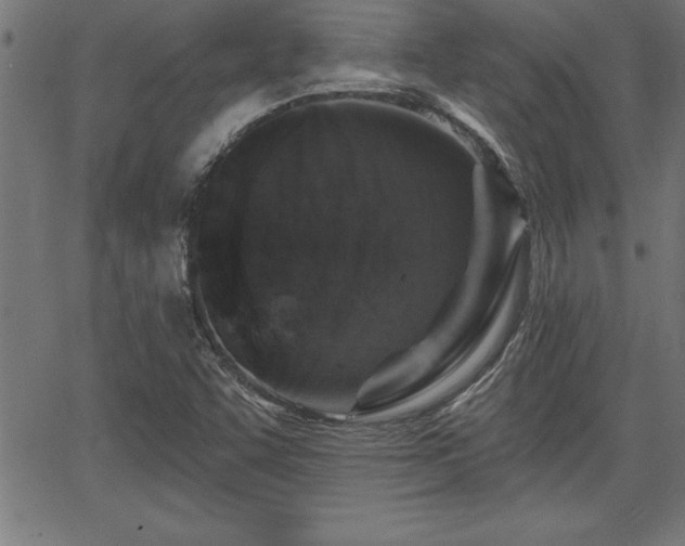 X0000065971455200603061137