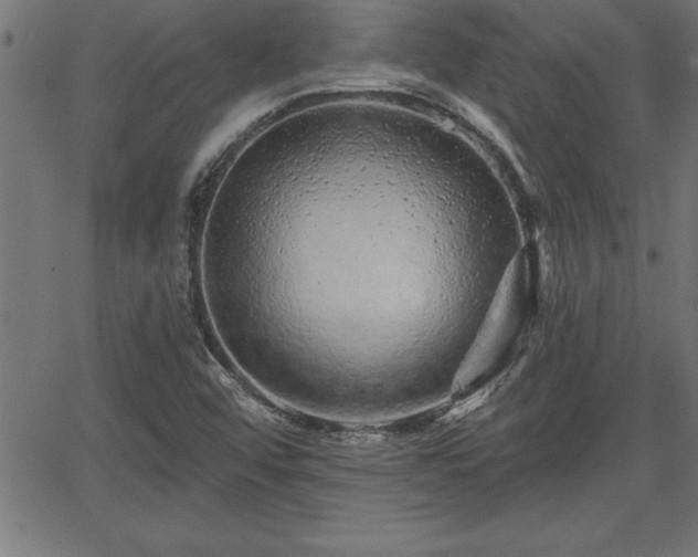 X0000065971456200603061137