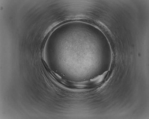 X0000065971457200603061137