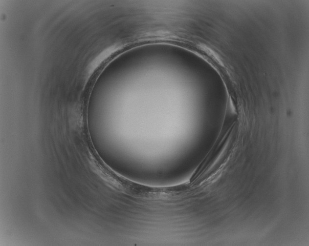 X0000065971458200603061137