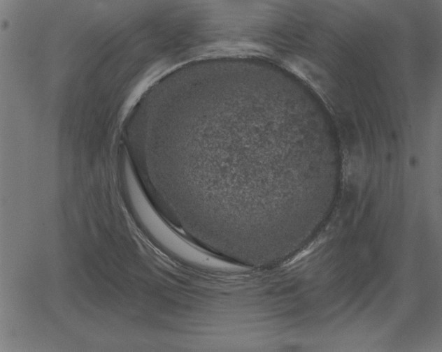 X0000065971459200603061137