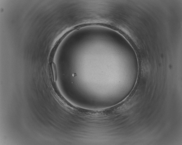 X0000065971460200603061137