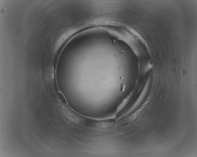 X0000065971461200603061137