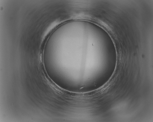 X0000065971462200603061137