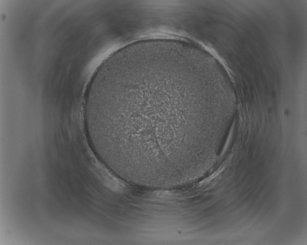 X0000065971463200603061137