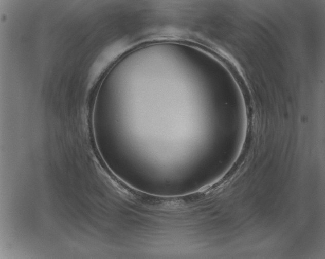 X0000065971464200603061137