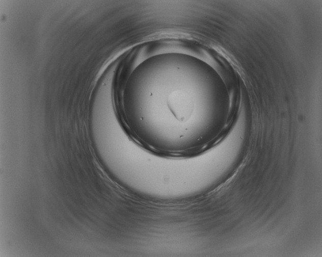 X0000065971465200603061137