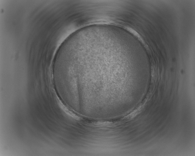 X0000065971466200603061137