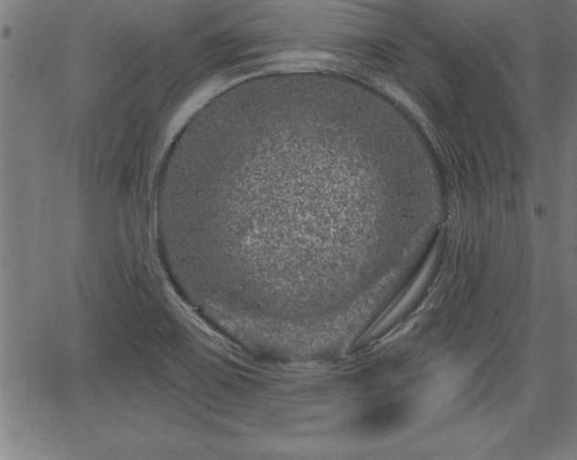 X0000065971467200603061137