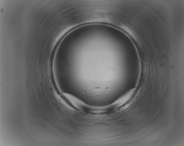 X0000065971468200603061137