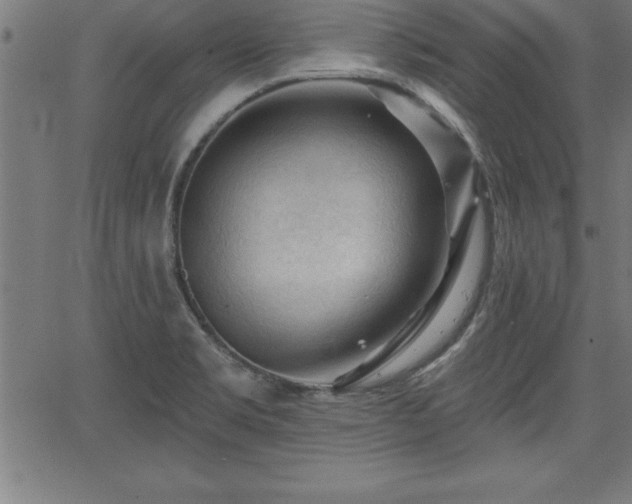 X0000065971469200603061137