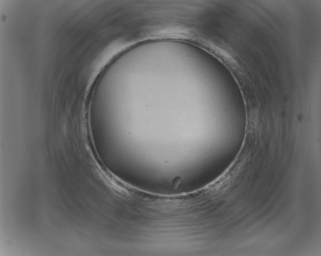 X0000065971470200603061137