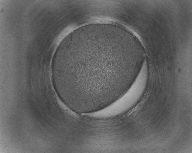 X0000065971471200603061137