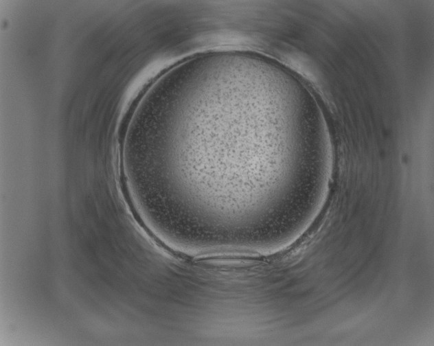 X0000065971472200603061137