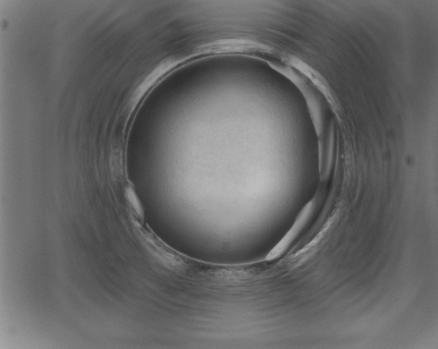 X0000065971473200603061137