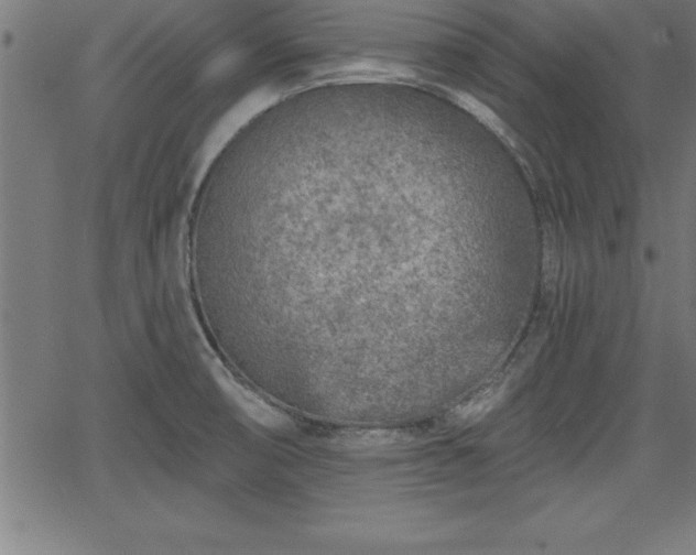 X0000065971474200603061137