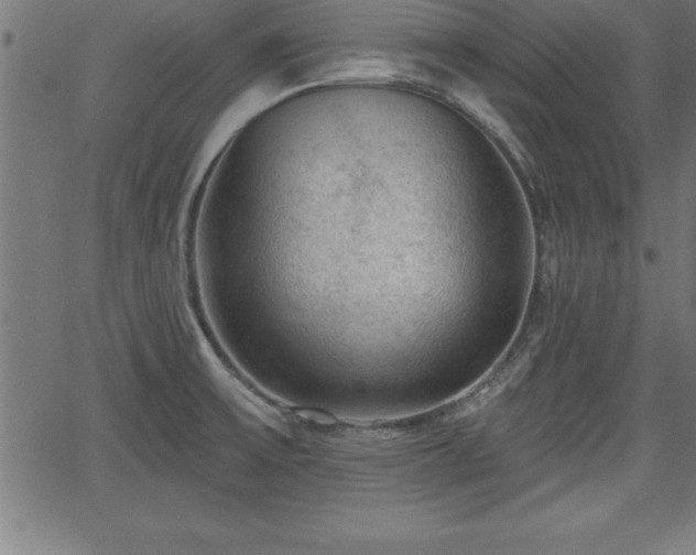 X0000065971475200603061137