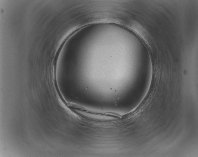 X0000065971476200603061137