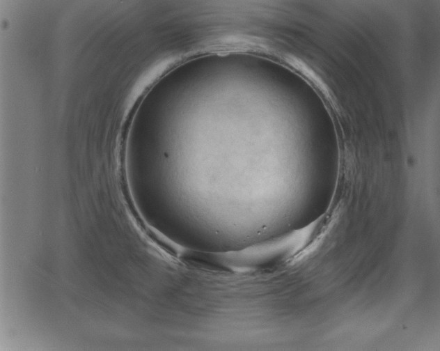 X0000065971477200603061137