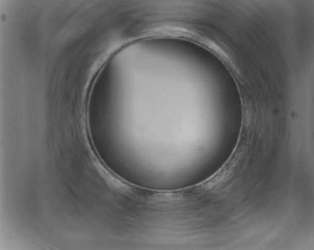 X0000065971478200603061137