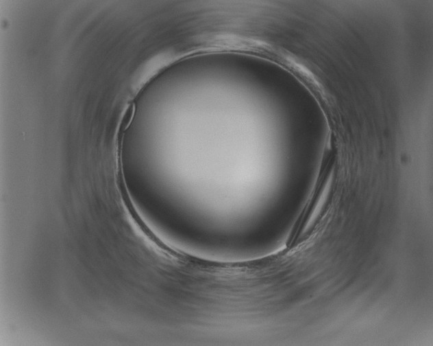 X0000065971479200603061137