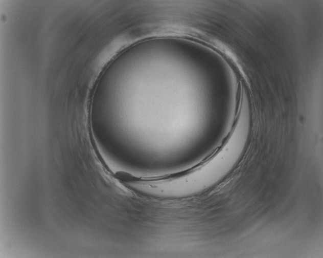 X0000065971480200603061137