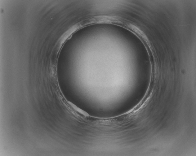 X0000065971481200603061137