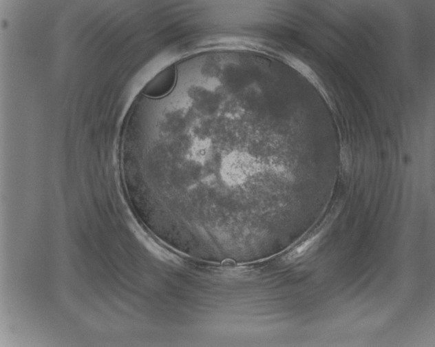 X0000065971482200603061137