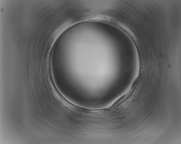 X0000065971483200603061137