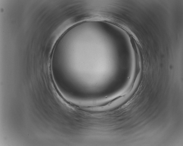 X0000065971484200603061137