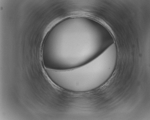 X0000065971485200603061137