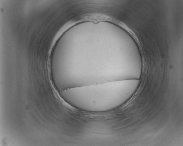 X0000065971486200603061137