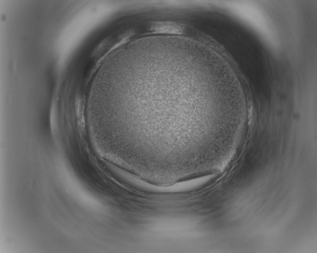 X0000065971487200603061137