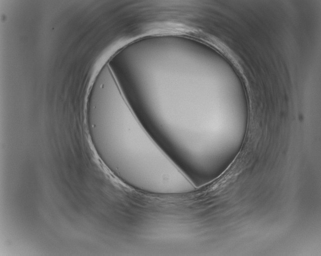 X0000065971488200603061137