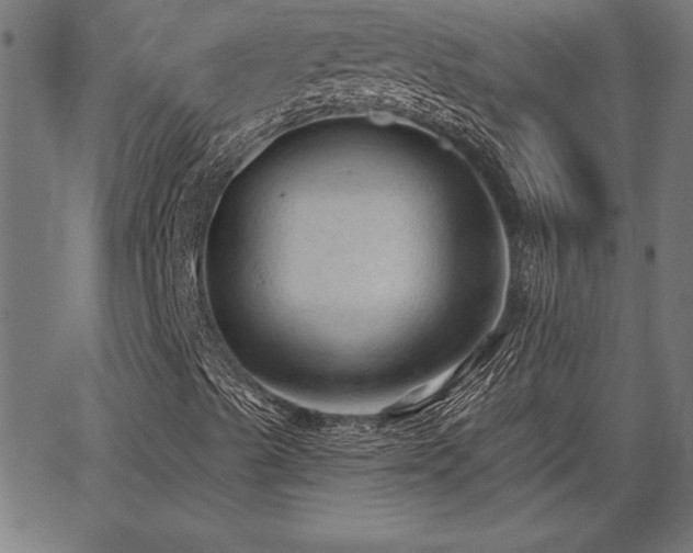 X0000065971489200603061136