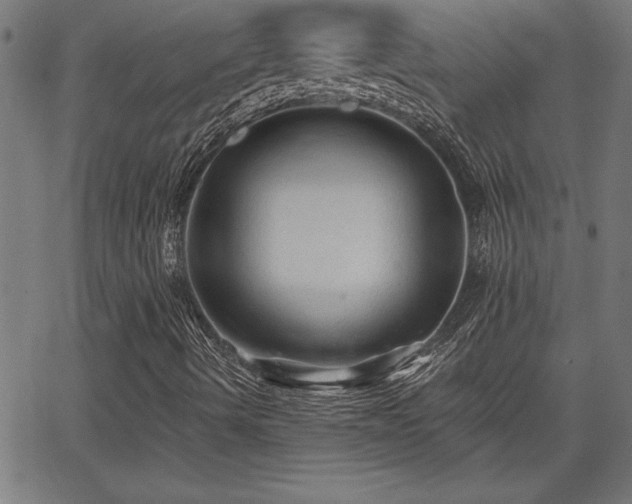 X0000065971490200603061136