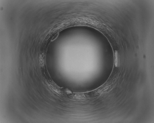 X0000065971491200603061136