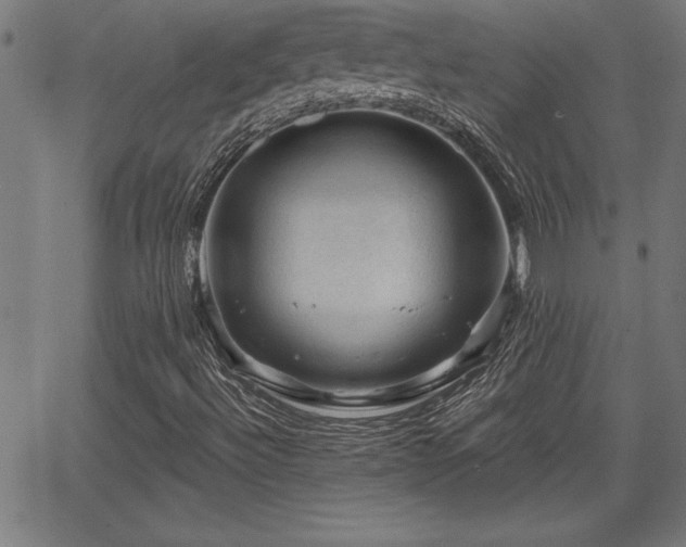 X0000065971492200603061136