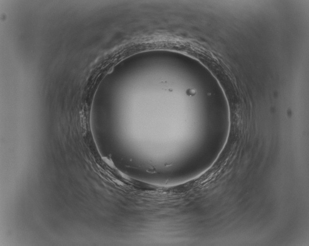 X0000065971493200603061136