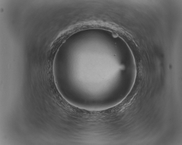 X0000065971494200603061136