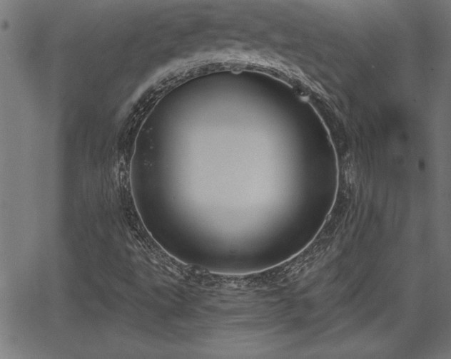 X0000065971495200603061136